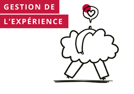 gestion de l’expérience