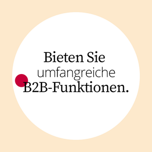 1. Strategie: Bieten Sie umfangreiche B2B-Funktionen