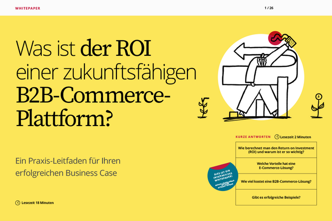 Whitepaper Praxis-Leitfaden: ROI im B2B-Commerce