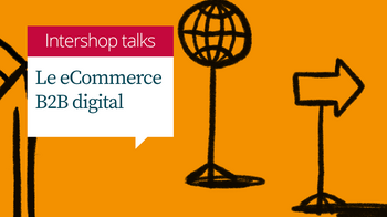 webinaire le ecommerce b2b digital