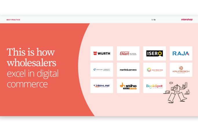 whitepaper best practices for wholesale e-commerce