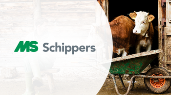 Intershop Customer Schippers