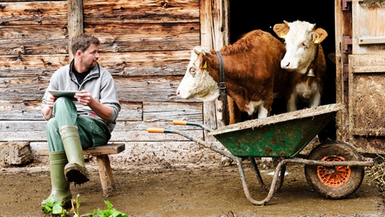 Schippers visual: Digitalizing livestock farming