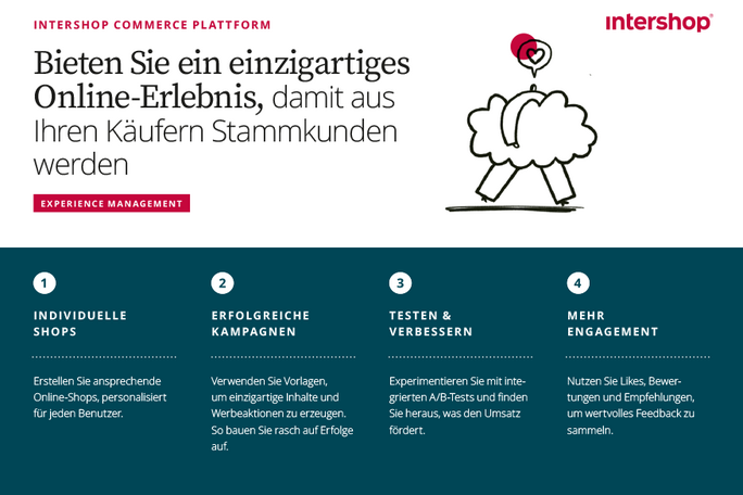 Plattform Experience Management
