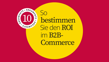 So bestimmen Sie den ROI im B2B-Commerce
