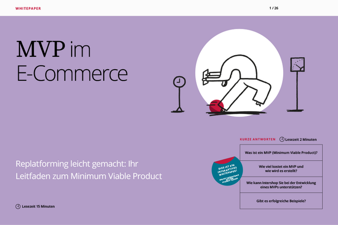MVP im E-Commerce Leitfaden: alles was Sie wissen müssen